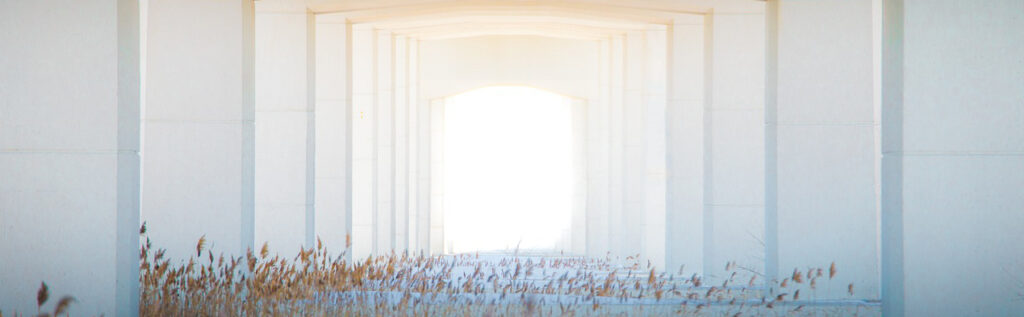 Schamanische Trommelreise - Komm in deine Kraft